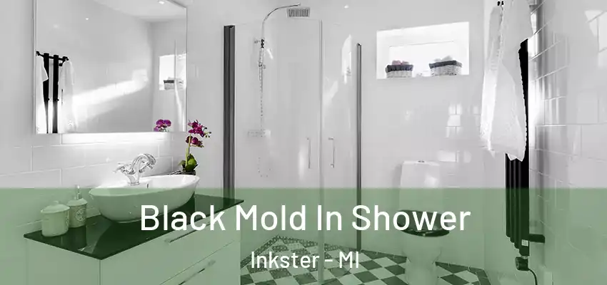  Black Mold In Shower Inkster - MI