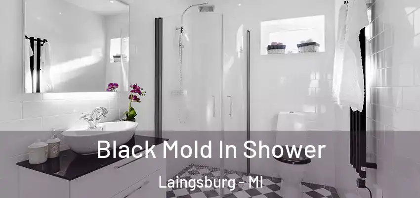  Black Mold In Shower Laingsburg - MI