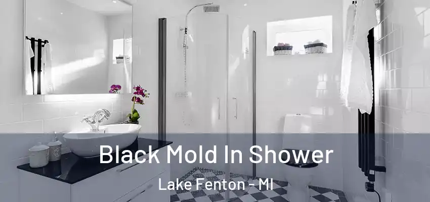  Black Mold In Shower Lake Fenton - MI