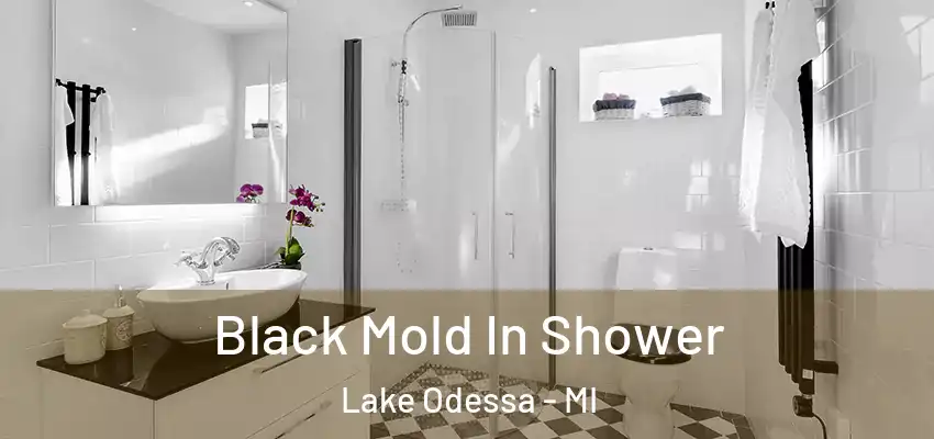  Black Mold In Shower Lake Odessa - MI