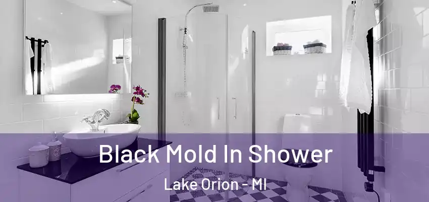  Black Mold In Shower Lake Orion - MI