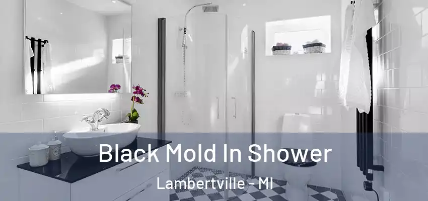  Black Mold In Shower Lambertville - MI