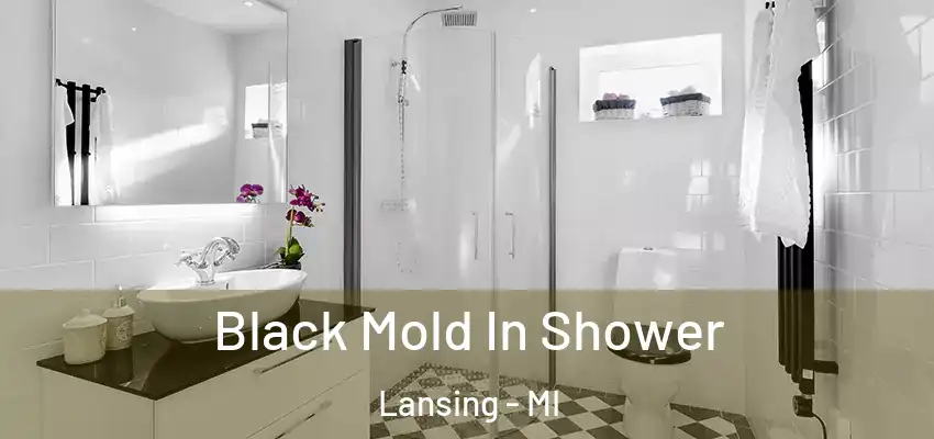  Black Mold In Shower Lansing - MI