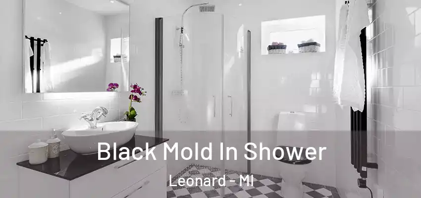  Black Mold In Shower Leonard - MI