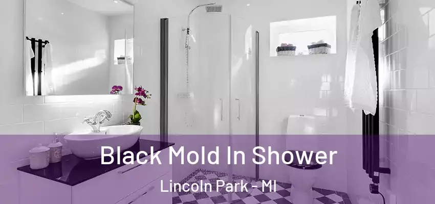  Black Mold In Shower Lincoln Park - MI