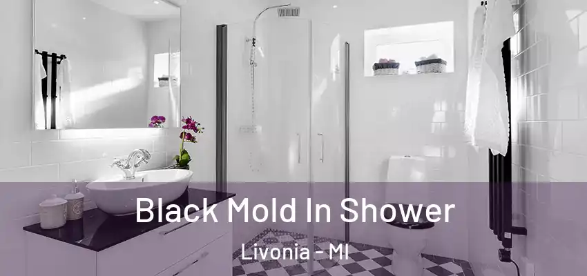  Black Mold In Shower Livonia - MI