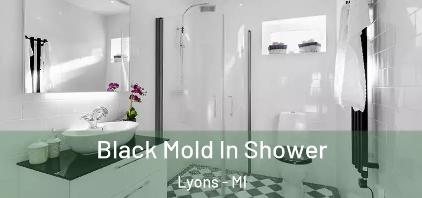  Black Mold In Shower Lyons - MI