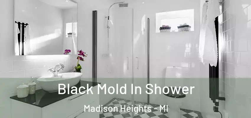  Black Mold In Shower Madison Heights - MI