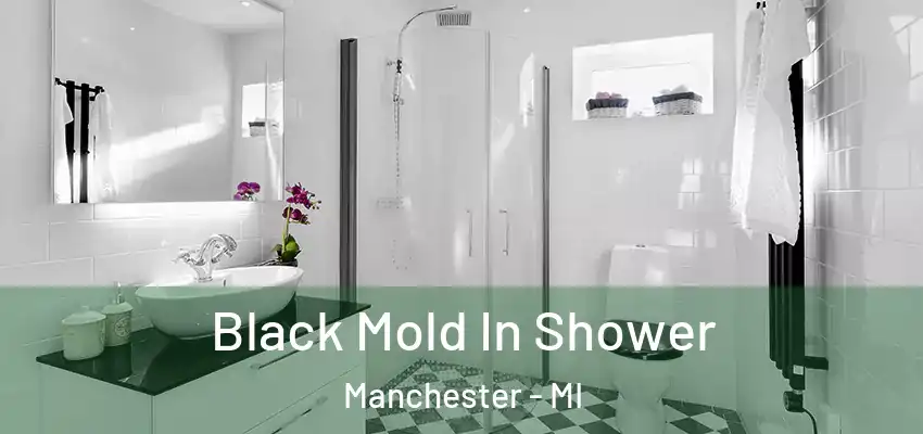  Black Mold In Shower Manchester - MI