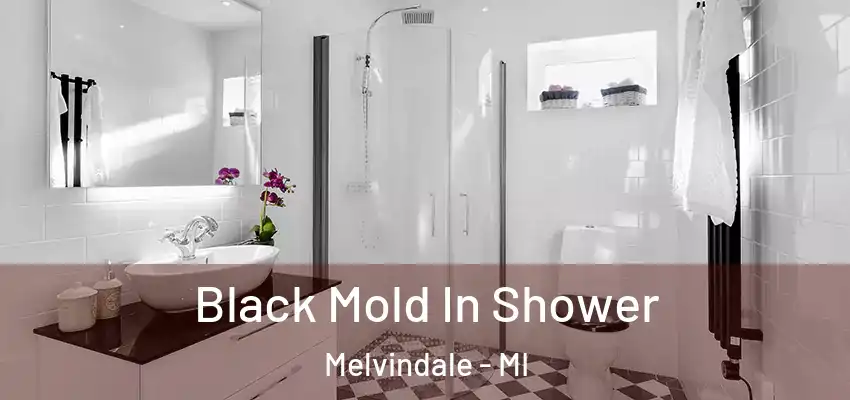  Black Mold In Shower Melvindale - MI