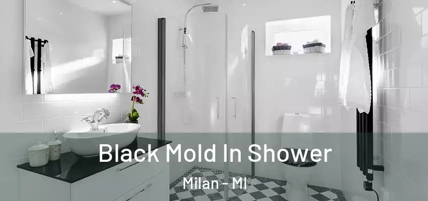  Black Mold In Shower Milan - MI
