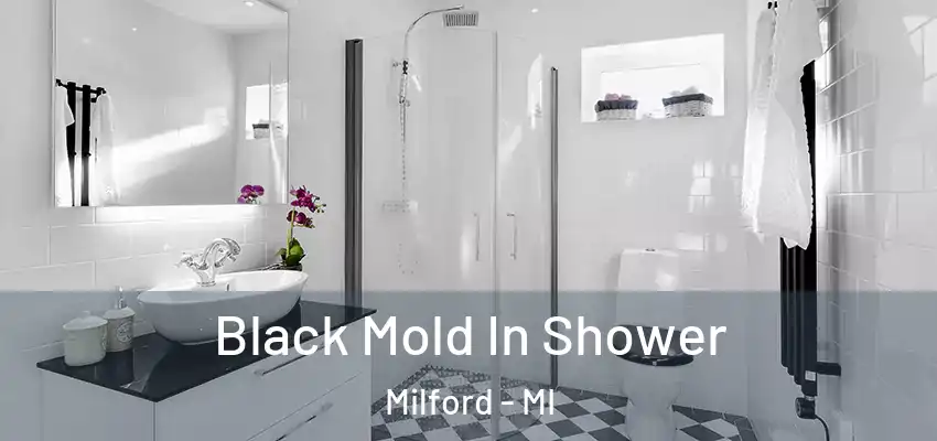  Black Mold In Shower Milford - MI