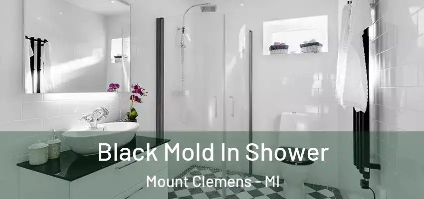  Black Mold In Shower Mount Clemens - MI