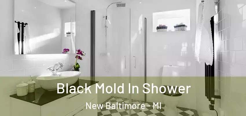  Black Mold In Shower New Baltimore - MI