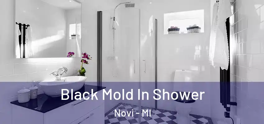  Black Mold In Shower Novi - MI