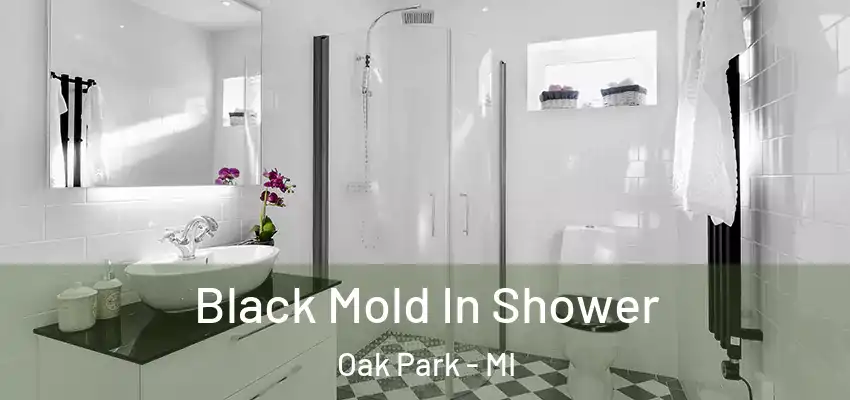 Black Mold In Shower Oak Park - MI
