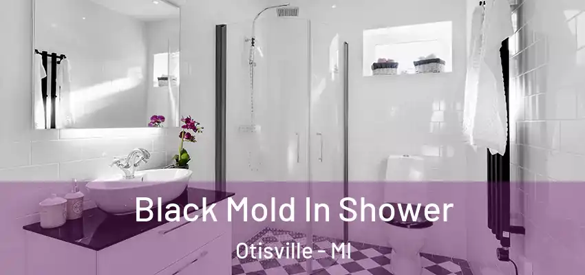  Black Mold In Shower Otisville - MI