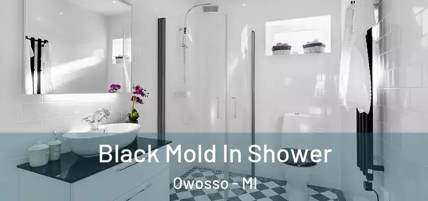  Black Mold In Shower Owosso - MI