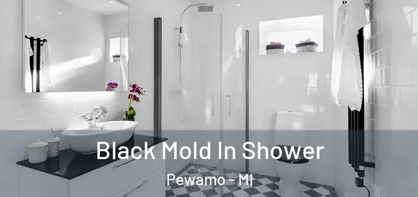 Black Mold In Shower Pewamo - MI