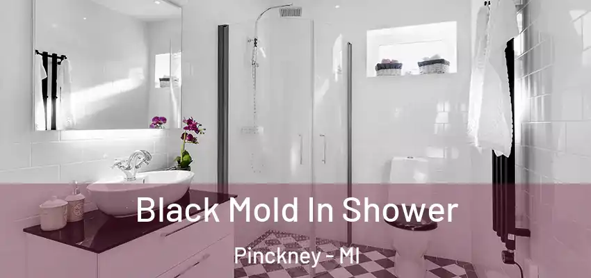  Black Mold In Shower Pinckney - MI