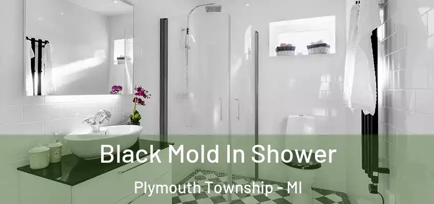  Black Mold In Shower Plymouth Township - MI
