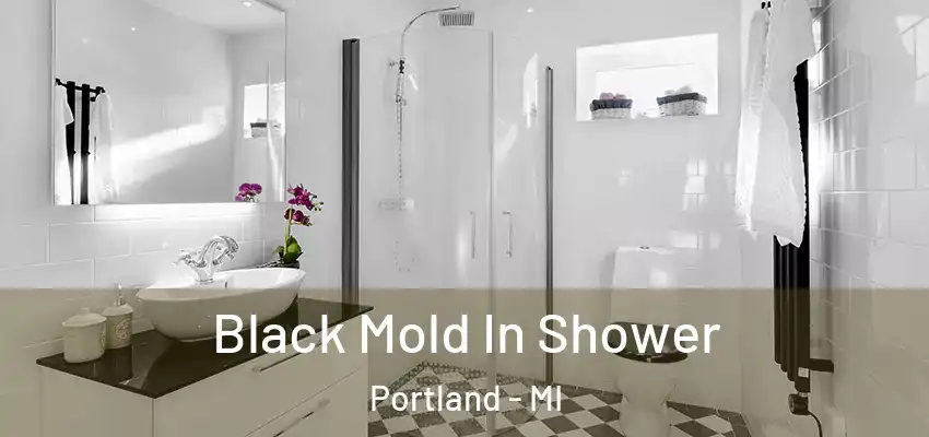  Black Mold In Shower Portland - MI