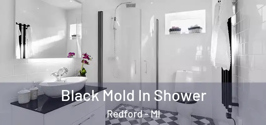  Black Mold In Shower Redford - MI