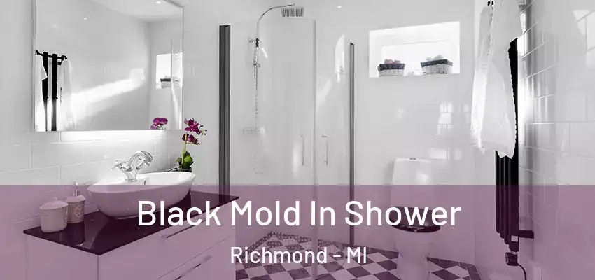Black Mold In Shower Richmond - MI
