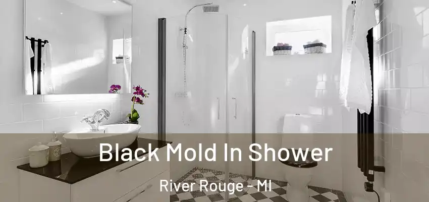  Black Mold In Shower River Rouge - MI