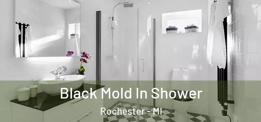 Black Mold In Shower Rochester - MI