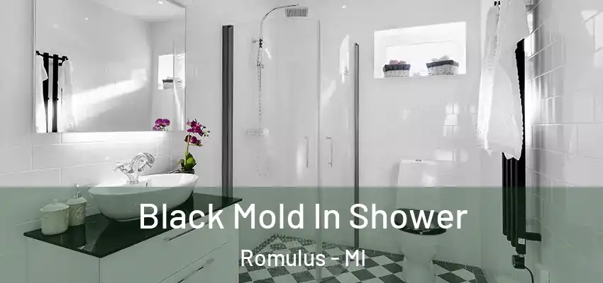  Black Mold In Shower Romulus - MI