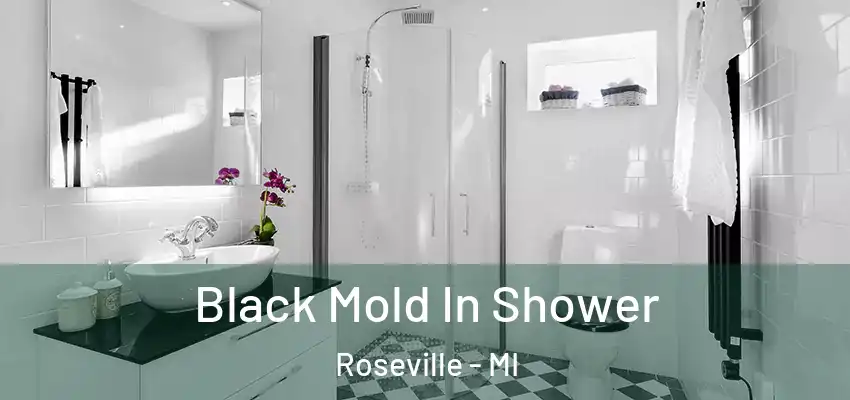  Black Mold In Shower Roseville - MI