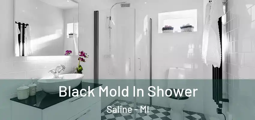  Black Mold In Shower Saline - MI