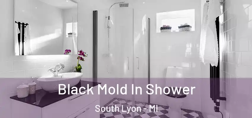  Black Mold In Shower South Lyon - MI