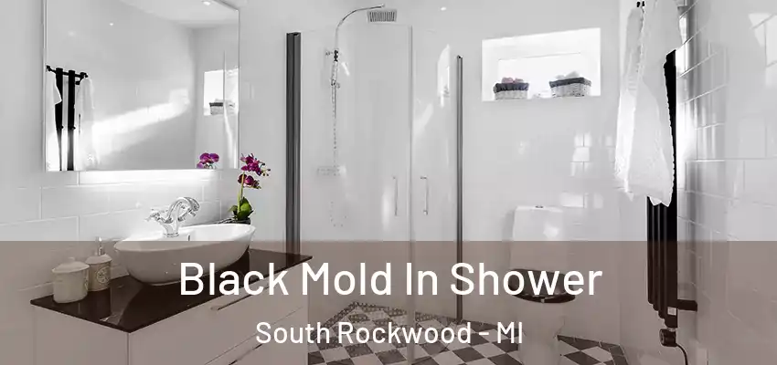  Black Mold In Shower South Rockwood - MI