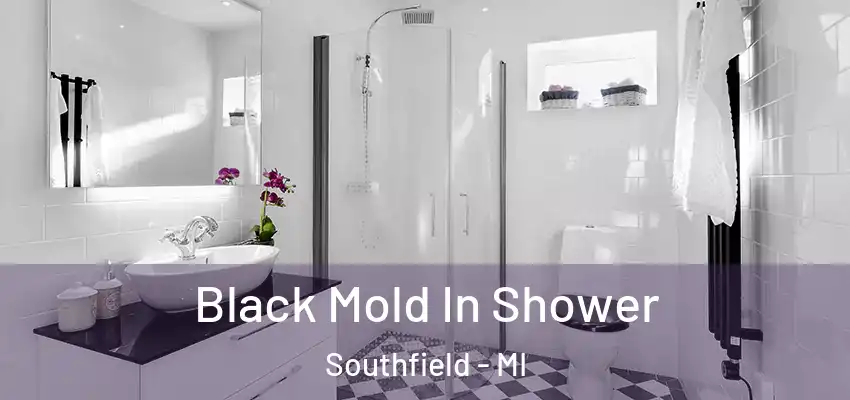  Black Mold In Shower Southfield - MI