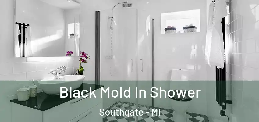  Black Mold In Shower Southgate - MI