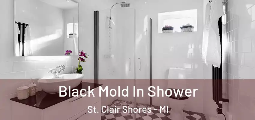  Black Mold In Shower St. Clair Shores - MI