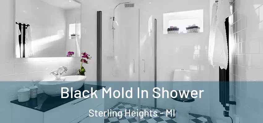  Black Mold In Shower Sterling Heights - MI