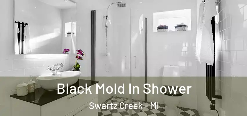  Black Mold In Shower Swartz Creek - MI