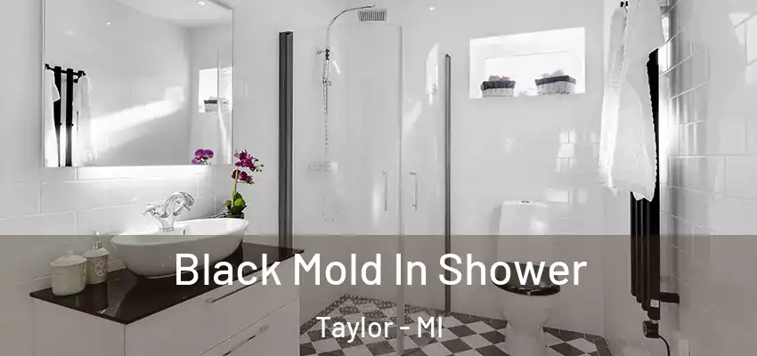  Black Mold In Shower Taylor - MI