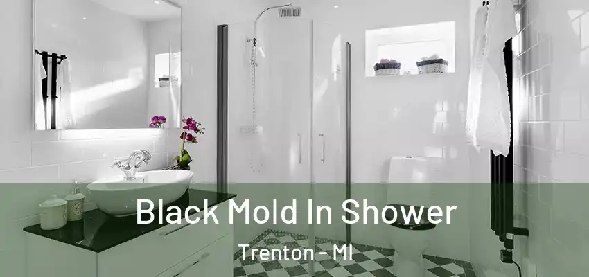  Black Mold In Shower Trenton - MI