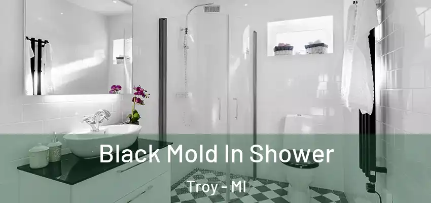  Black Mold In Shower Troy - MI