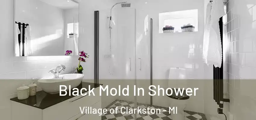  Black Mold In Shower Village of Clarkston - MI