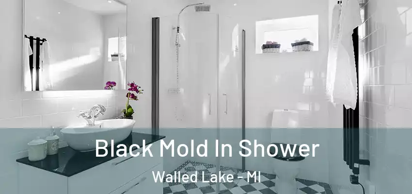  Black Mold In Shower Walled Lake - MI