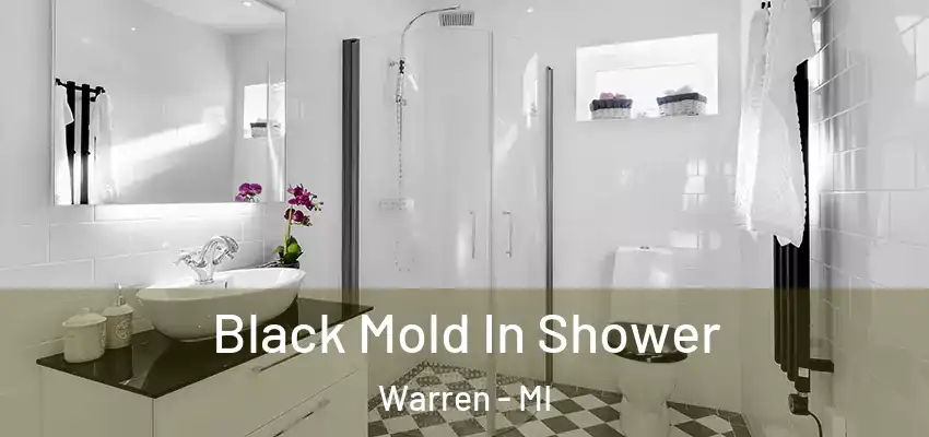  Black Mold In Shower Warren - MI