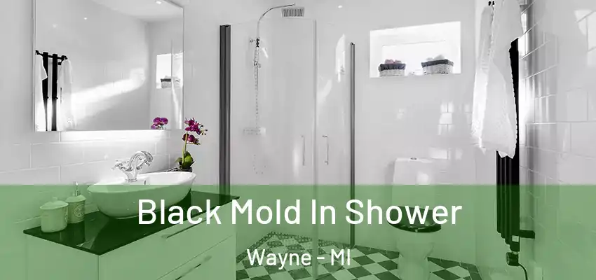  Black Mold In Shower Wayne - MI
