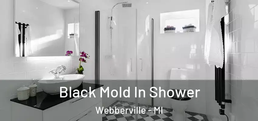  Black Mold In Shower Webberville - MI