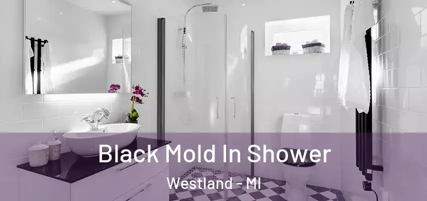  Black Mold In Shower Westland - MI