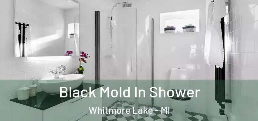  Black Mold In Shower Whitmore Lake - MI